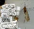  ( - TVTRI0212)  @12 [ ] Unspecified (default): All Rights Reserved  Unspecified Unspecified