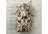  ( - RWWA-0014)  @13 [ ] Copyright (2010) Unspecified Unspecified
