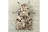  ( - RWWA-0030)  @13 [ ] Copyright (2010) Unspecified Unspecified