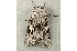  ( - RWWA-0075)  @13 [ ] Copyright (2010) Unspecified Unspecified