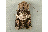  ( - RWWA-0081)  @12 [ ] Copyright (2010) Unspecified Unspecified