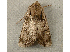  ( - RWWA-0120)  @12 [ ] Copyright (2010) Unspecified Unspecified