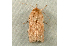  ( - RWWA-0127)  @12 [ ] Copyright (2010) Unspecified Unspecified