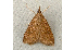  ( - RWWA-0151)  @12 [ ] Copyright (2010) Unspecified Unspecified