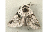  ( - RWWA-0156)  @13 [ ] Copyright (2010) Unspecified Unspecified