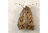  ( - RWWA-0212)  @14 [ ] Copyright (2010) Unspecified Unspecified