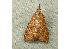  ( - RWWA-0227)  @12 [ ] Copyright (2010) Unspecified Unspecified