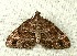  ( - RWWA-0243)  @13 [ ] Copyright (2010) Unspecified Unspecified