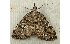  ( - RWWA-0290)  @14 [ ] Copyright (2010) Unspecified Unspecified