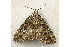  ( - RWWA-0323)  @14 [ ] Copyright (2010) Unspecified Unspecified