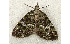  ( - RWWA-0327)  @14 [ ] Copyright (2010) Unspecified Unspecified