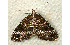  ( - RWWA-0354)  @13 [ ] Copyright (2010) Unspecified Unspecified