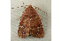  ( - RWWA-0361)  @12 [ ] Copyright (2010) Unspecified Unspecified