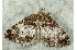  ( - RWWA-0511)  @13 [ ] Copyright (2010) Unspecified Unspecified