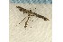  ( - RWWA-0624)  @12 [ ] Copyright (2010) Unspecified Unspecified