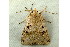  ( - RWWA-0688)  @13 [ ] Copyright (2010) Unspecified Unspecified