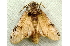  ( - RWWA-0765)  @13 [ ] Copyright (2010) Unspecified Unspecified