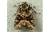  ( - RWWA-0771)  @13 [ ] Copyright (2010) Unspecified Unspecified