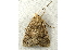  ( - RWWA-0785)  @12 [ ] Copyright (2010) Unspecified Unspecified