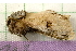  ( - RWWA-0831)  @12 [ ] Copyright (2010) Unspecified Unspecified