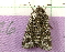  ( - RWWA-0833)  @13 [ ] Copyright (2010) Unspecified Unspecified