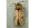  ( - RWWA-0930)  @12 [ ] Copyright (2010) Unspecified Unspecified