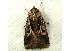  ( - RWWA-0940)  @13 [ ] Copyright (2010) Unspecified Unspecified