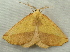 ( - RWWA-0985)  @11 [ ] Copyright (2010) Unspecified Unspecified