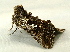  ( - RWWA-0986)  @12 [ ] Copyright (2010) Unspecified Unspecified