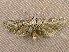  ( - RWWA-1835)  @13 [ ] CreativeCommons - Attribution Non-Commercial Share-Alike (2010) Richard Wilson Unspecified