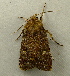  ( - RWWA-1866)  @12 [ ] CreativeCommons - Attribution Non-Commercial Share-Alike (2010) Richard Wilson Unspecified