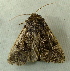  ( - RWWA-1911)  @12 [ ] CreativeCommons - Attribution Non-Commercial Share-Alike (2010) Richard Wilson Unspecified
