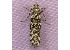  ( - RWWA-1001)  @12 [ ] Copyright (2010) Unspecified Unspecified