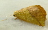  ( - RWWA-1002)  @12 [ ] Copyright (2010) Unspecified Unspecified
