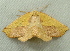  ( - RWWA-1017)  @11 [ ] Copyright (2010) Unspecified Unspecified