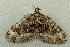  ( - RWWA-1029)  @13 [ ] Copyright (2010) Unspecified Unspecified