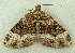  ( - RWWA-1041)  @13 [ ] Copyright (2010) Unspecified Unspecified