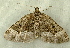  ( - RWWA-1117)  @13 [ ] Copyright (2010) Unspecified Unspecified