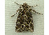  ( - RWWA-1121)  @14 [ ] Copyright (2010) Unspecified Unspecified