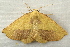  ( - RWWA-1145)  @13 [ ] Copyright (2010) Unspecified Unspecified