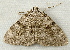  ( - RWWA-1147)  @12 [ ] Copyright (2010) Unspecified Unspecified