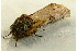  ( - RWWA-1181)  @12 [ ] Copyright (2010) Unspecified Unspecified