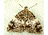  ( - RWWA-1202)  @13 [ ] Copyright (2010) Unspecified Unspecified