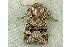  ( - RWWA-1205)  @13 [ ] Copyright (2010) Unspecified Unspecified