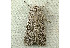  ( - RWWA-1242)  @13 [ ] Copyright (2010) Unspecified Unspecified