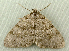  ( - RWWA-1247)  @12 [ ] Copyright (2010) Unspecified Unspecified