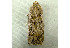  ( - RWWA-1249)  @12 [ ] Copyright (2010) Unspecified Unspecified