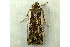  ( - RWWA-1254)  @12 [ ] Copyright (2010) Unspecified Unspecified