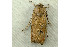  ( - RWWA-1260)  @12 [ ] Copyright (2010) Unspecified Unspecified