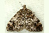  ( - RWWA-1266)  @13 [ ] CreativeCommons - Attribution (2009) Unspecified Centre for Biodiversity Genomics